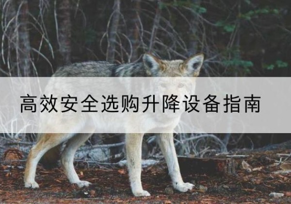罗平升降货梯厂家推荐-*安全选购升降设备指南