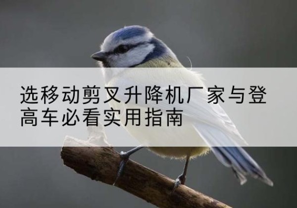 罗平电动升降机厂家-选移动剪叉升降机厂家与登高车必看实用指南