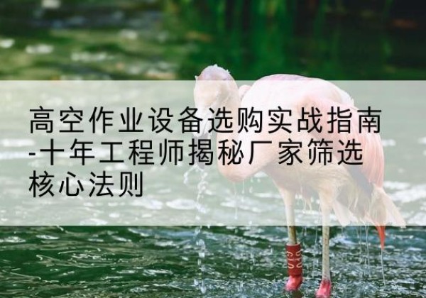 罗平剪叉式升降机厂家-高空作业设备选购实战指南-十年工程师揭秘厂家筛选核心法则